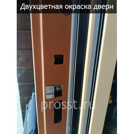 Уличная входная дверь со стеклом модель Фьюжн